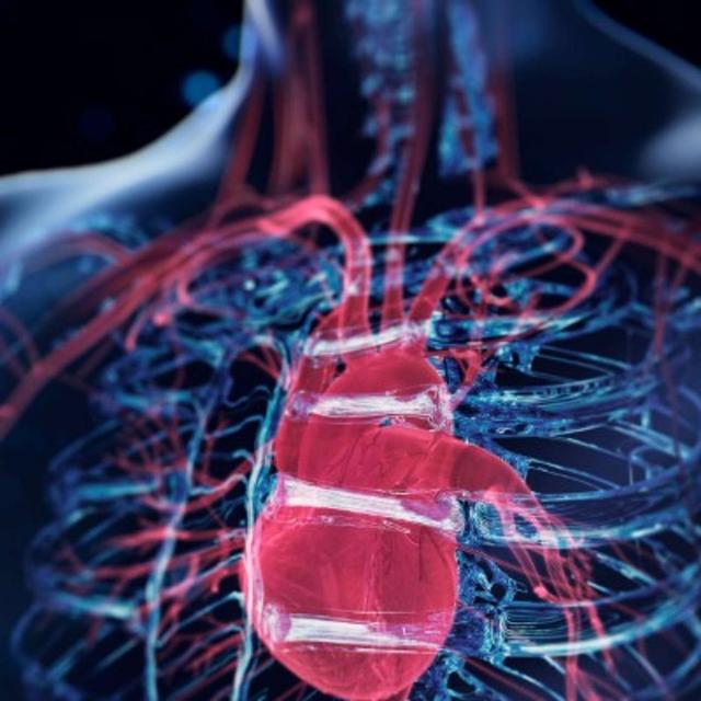 Ep131: The semantics of CPR - podcast episode cover