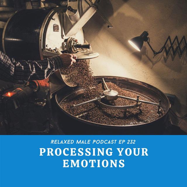 Processing Your Emotions For a Better Life - podcast episode cover