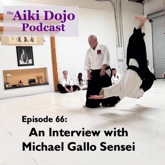 An Interview with Michael Gallo Sensei - podcast episode cover