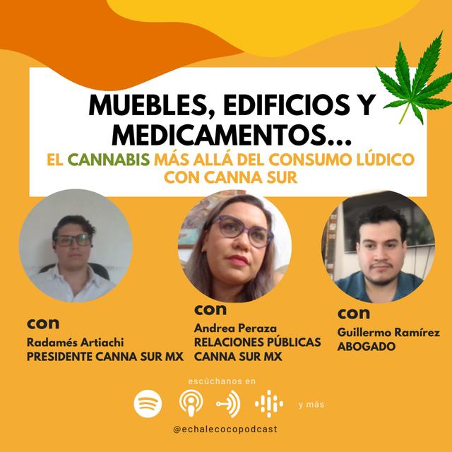 Muebles, edificios y medicamentos: el cannabis más allá del consumo lúdico. Con CANNA SUR - podcast episode cover