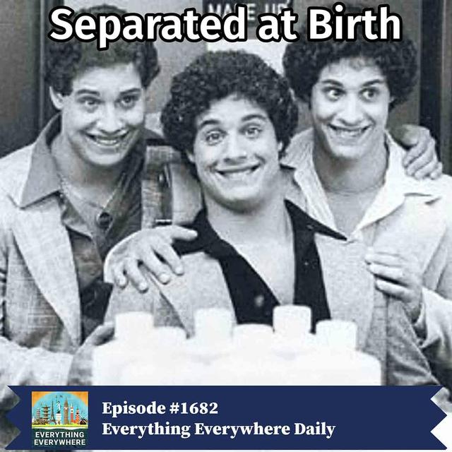 Separated at Birth (Encore) - podcast episode cover
