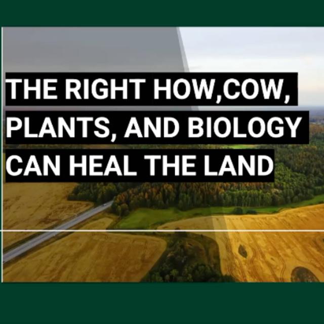 The Right How, Cow, Plants, and Biology Can Heal the Land with Ray Archuleta | R-SOIL 2024 - podcast episode cover
