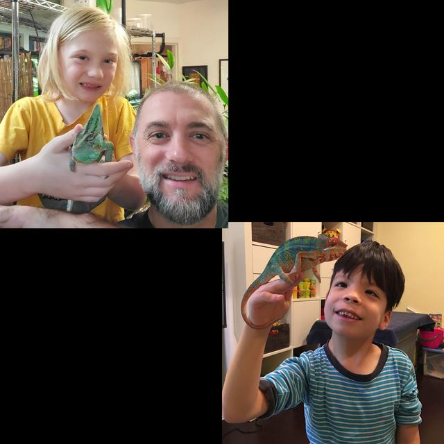128: Chameleons & Children - podcast episode cover