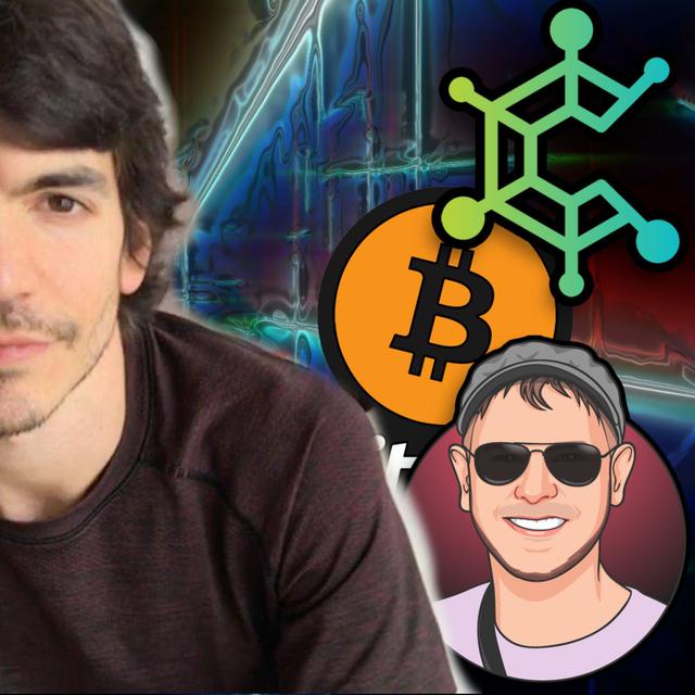 The Future of Decentralised Organisations - Chris Guida - Cryptonomics - podcast episode cover