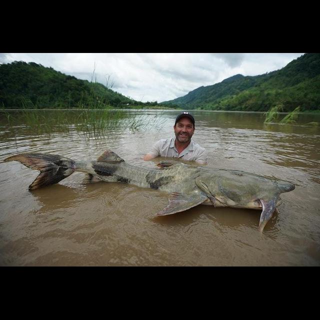 Episode 333: Monster Fish w/Dr Zeb Hogan - podcast episode cover