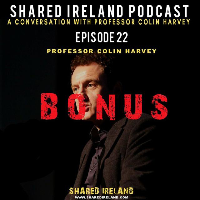 A Conversation With Prof Colin Harvey Bonus - podcast episode cover