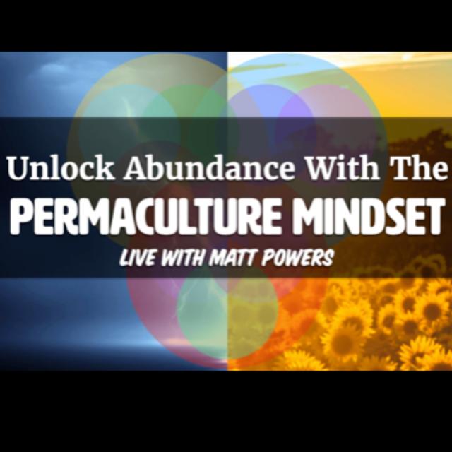 Episode 196 | Unlocking Abundance with the Permaculture Mindset - podcast episode cover