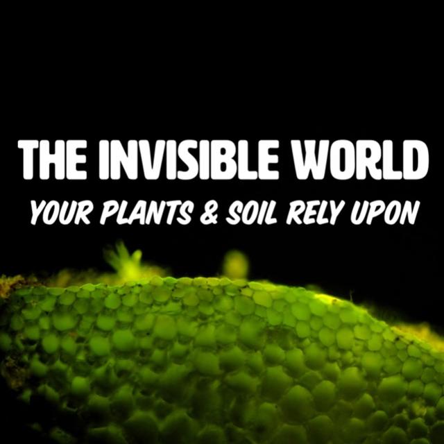 The Invisible World Your Plants And Your Soil Rely Upon 2024 With Matt Powers - podcast episode cover