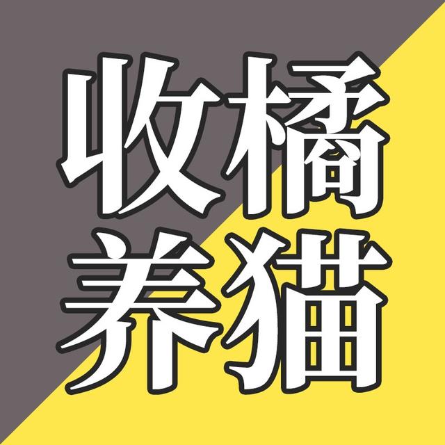 EP11-如何奶大一只小橘猫 - podcast episode cover