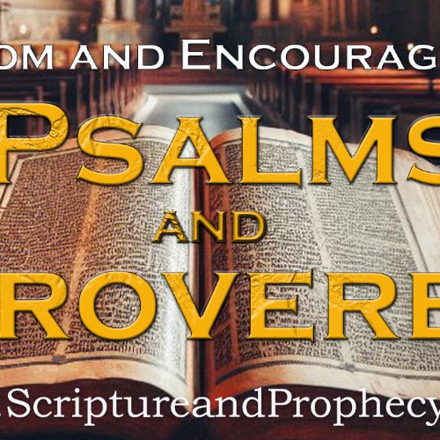 Psalm 73 & Proverbs 18: When I Saw The Prosperity of The Wicked - podcast episode cover