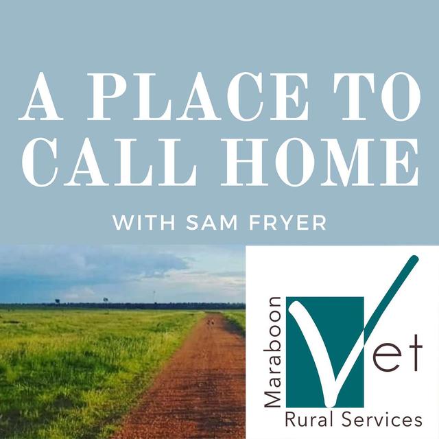 #29: Going from repairing smashed cars to fulltime beef producer with Adam Turner from Springhill Beef - podcast episode cover