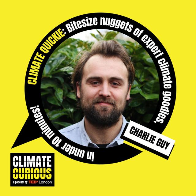 How communities are taking control of local food production using aeroponics - podcast episode cover