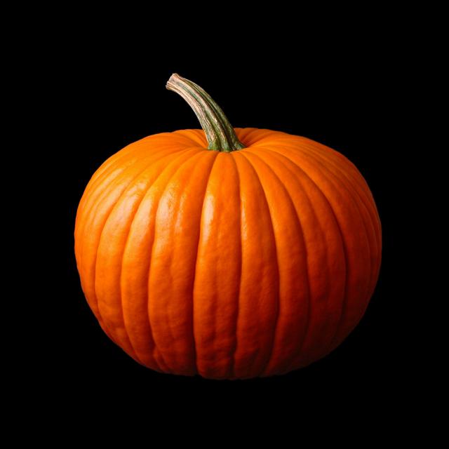 We Owe Our Pumpkins to Pooping Megafauna - podcast episode cover