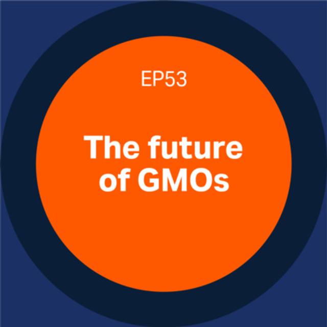 53. The future of GMOs - podcast episode cover