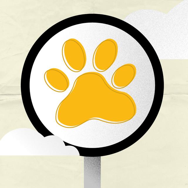 Episode 5: Veterinary Pathology - podcast episode cover