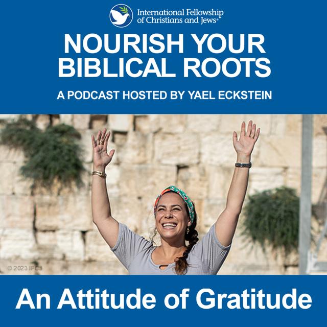 An Attitude of Gratitude - podcast episode cover