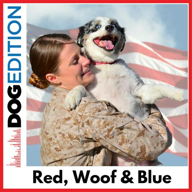Red, Woof, & Blue - podcast episode cover
