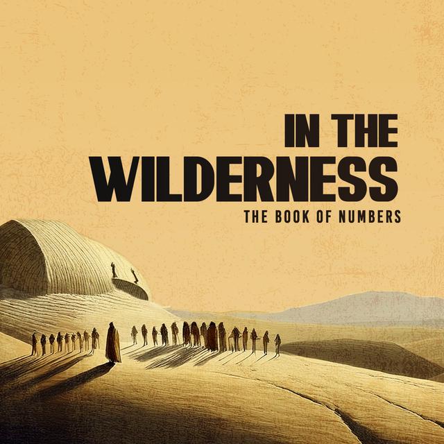 In The Wilderness: New Generation Commissioned and Tested - Justin Chapman - podcast episode cover
