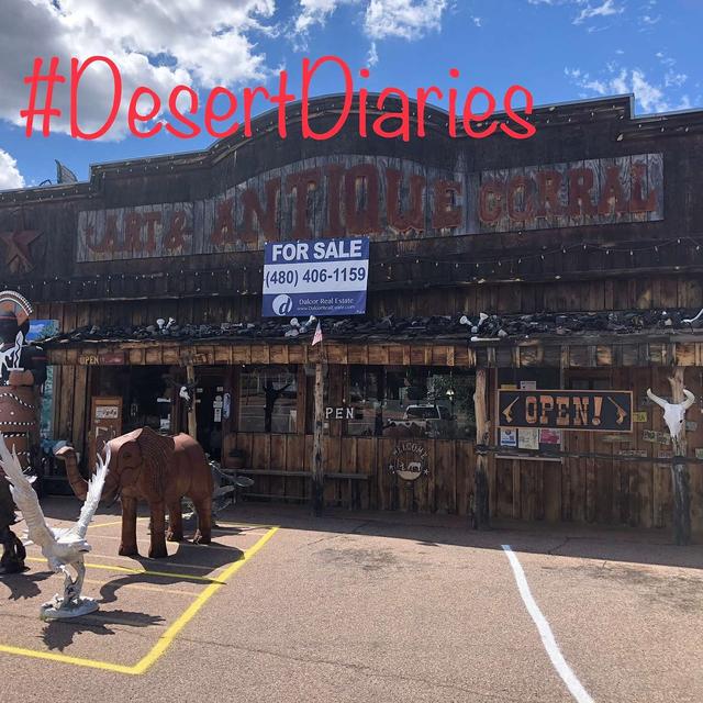 Week fifteen: Discovering the heart of Arizona - podcast episode cover