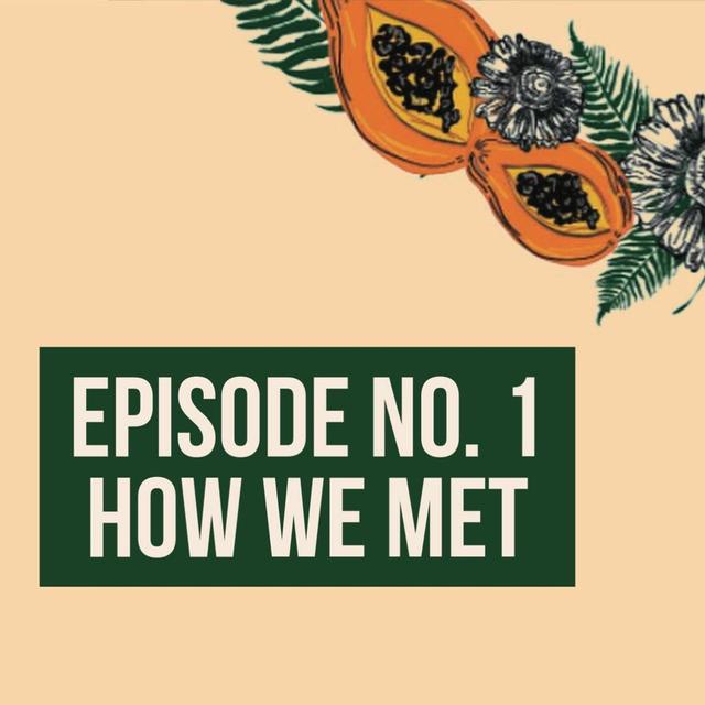 Episode 1 - How We Met - podcast episode cover
