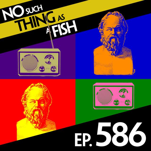 586: No Such Thing As A Levis Jury - podcast episode cover