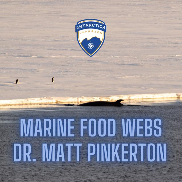 Marine Food Webs 101 - podcast episode cover