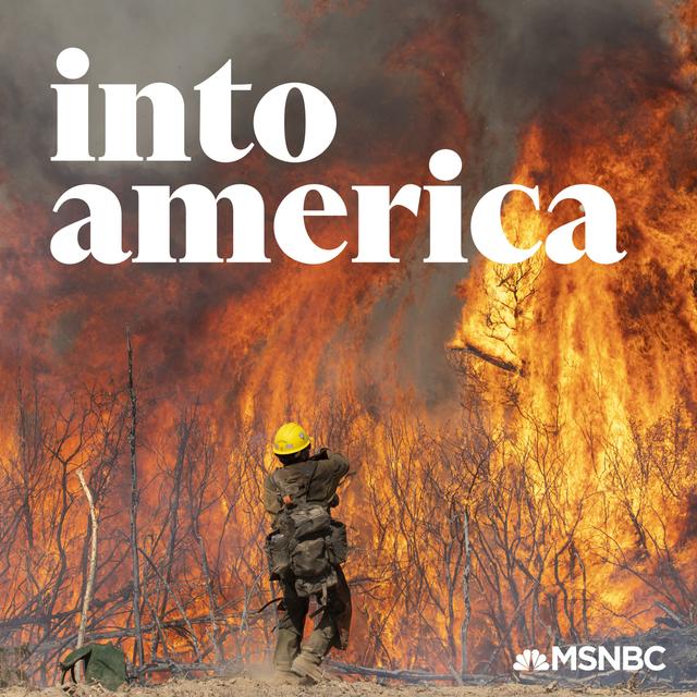 Into Reclaiming Fire to Save the Forest - podcast episode cover