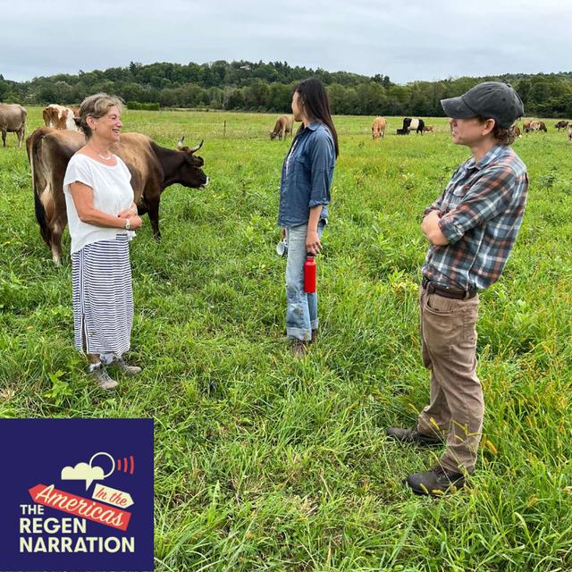 221. Restoring Dairy Farming with Family, Food & Festival: At Churchtown Dairy, with Judith Schwartz, Eric Vinson & Steffen Schneider - podcast episode cover
