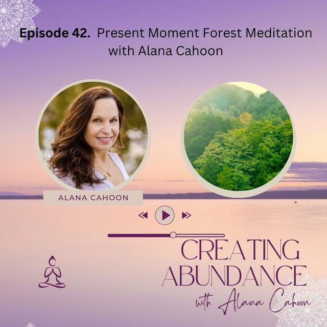 Present Moment Forest Meditation - podcast episode cover