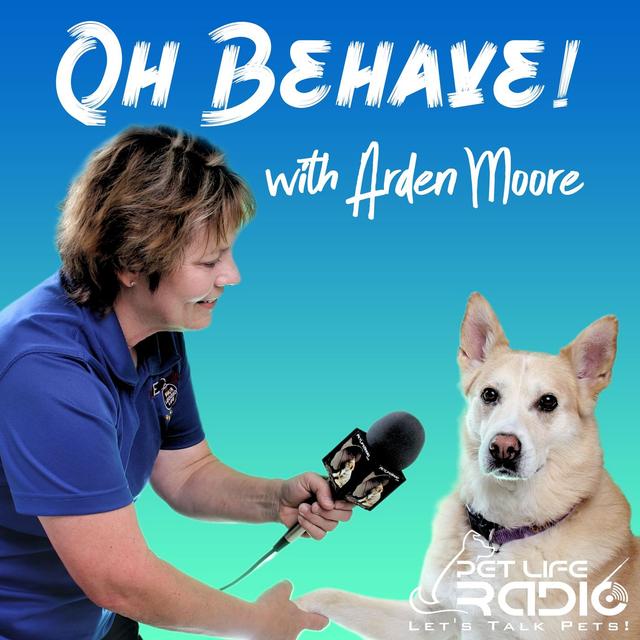 Oh Behave - Episode 535 Discover the Many Benefits of Playing with Your Cat with Dr. Mikel Delgado - podcast episode cover