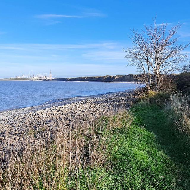 254 Waves of West Somerset (sleep safe) - podcast episode cover