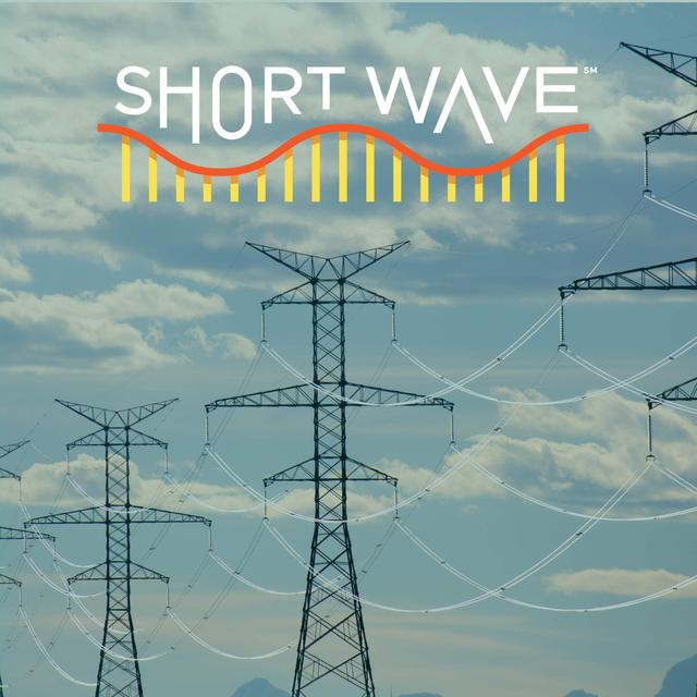 The Power Grid Problem - podcast episode cover