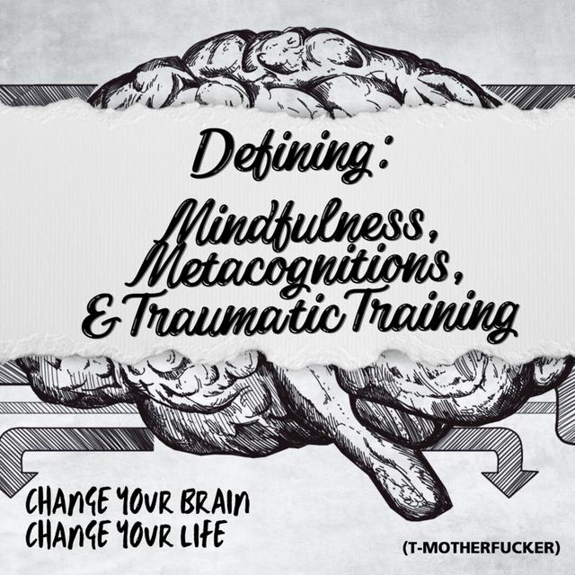 Back to Basics: Defining "Mindfulness, MetaCognition, and Traumatic Training" - podcast episode cover