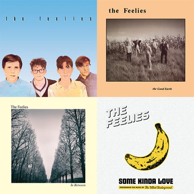 Episode 381: Episode 381: The Feelies - podcast episode cover
