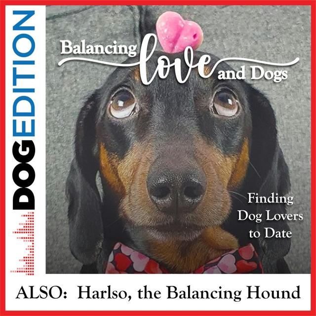 Balancing Love & Dogs | Dog Edition #10 - podcast episode cover