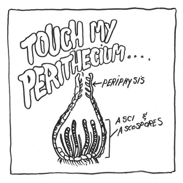 Rants About Peyote Conservation, Cryptogamic Crusts, Perithecium - podcast episode cover