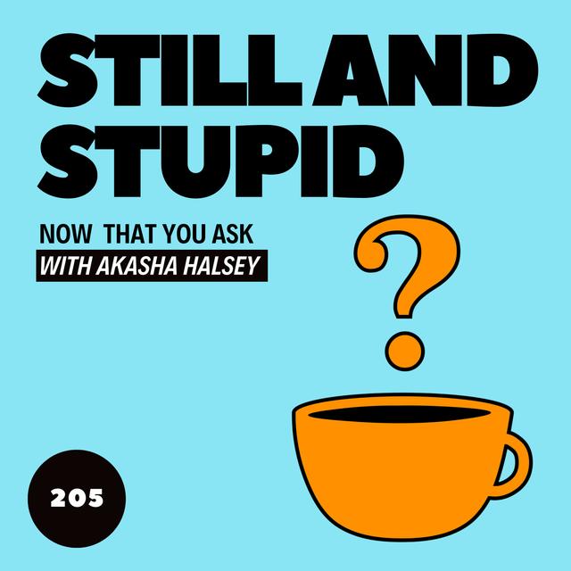 205. Still and Stupid - podcast episode cover