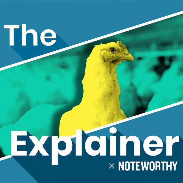 By Noteworthy: Is Ireland a dumping ground for poultry manure? - podcast episode cover