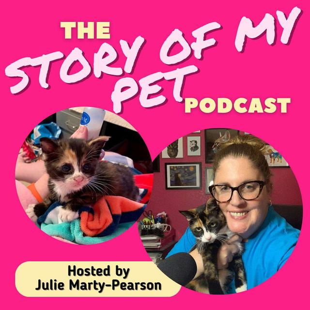 Fostering Kittens: A Story of Love, Heartbreak, and New Beginnings - podcast episode cover