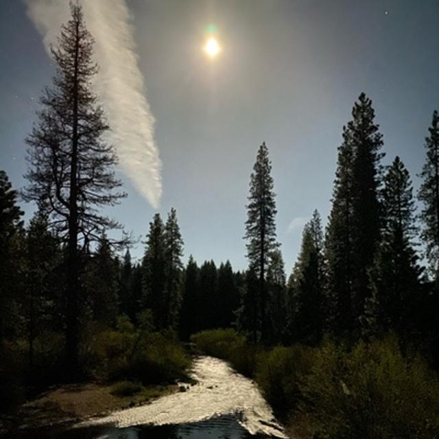 104: Frogs At Night Beside The McCloud River Trail - podcast episode cover