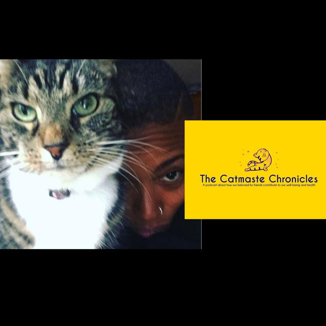 Joy Joseph 'Drumming, Music, Touring, DJ and New York Street Cats' - podcast episode cover