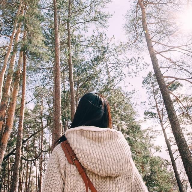 Spending time in a forest can boost health and lower stress. Here's how - podcast episode cover