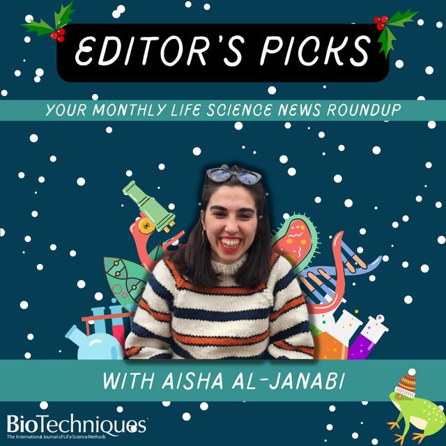 Editor's Picks | November - podcast episode cover