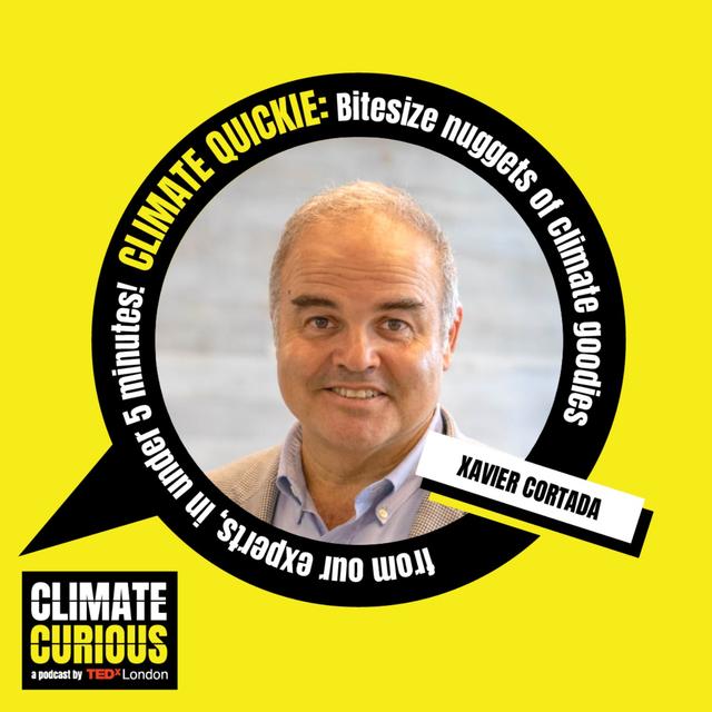 Why tackling climate change is art, not just science - podcast episode cover
