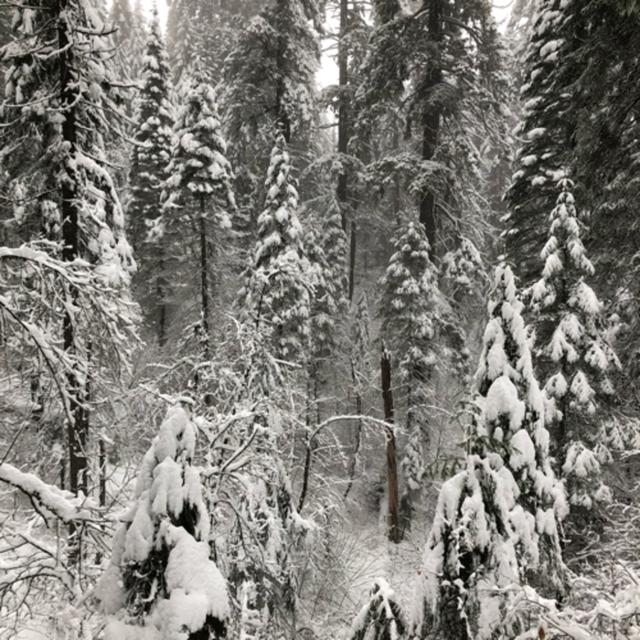Bonus! Thundersnow on the Pacific Crest Trail - podcast episode cover