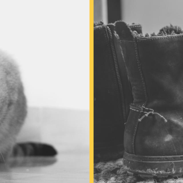 S3: Puss in Boots - podcast episode cover
