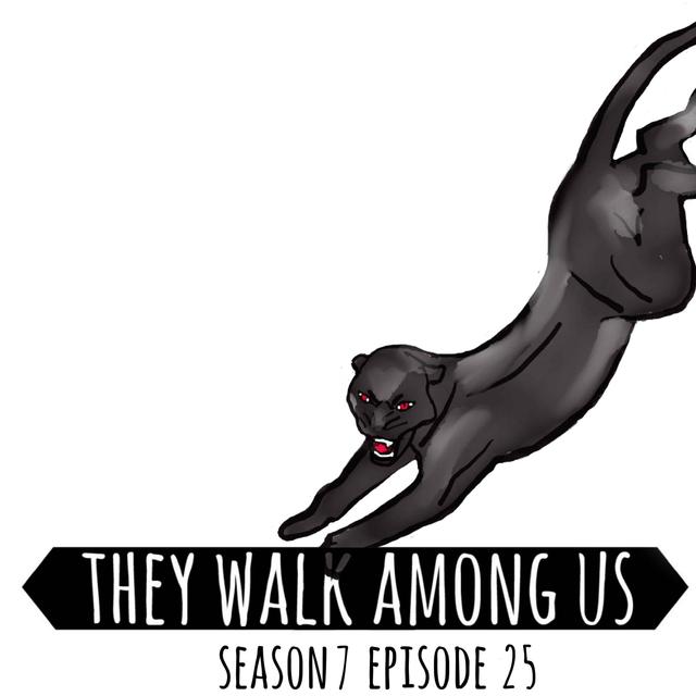 The Black Panther / Donald Neilson - Part 3 - podcast episode cover