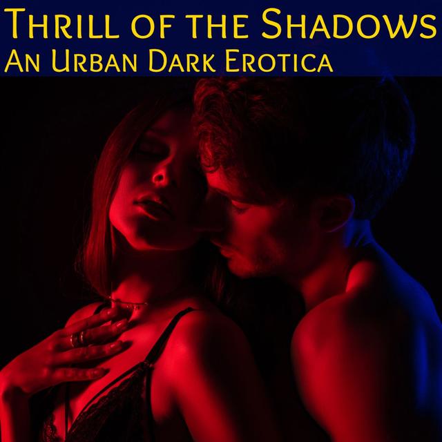 The Thrill of The Dark: A Strangers To Lovers Erotic Fantasy - podcast episode cover