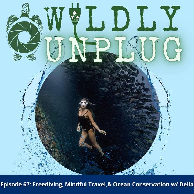 Freediving, Mindful Travel, and Ocean Conservation with Delia - podcast episode cover