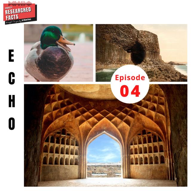 BRF04: "Echo" - podcast episode cover